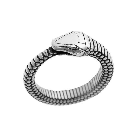 pierścień OUROBOROS